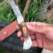 TimberFang – Handmade Damascus Pocket Knife with Multicolor Wood